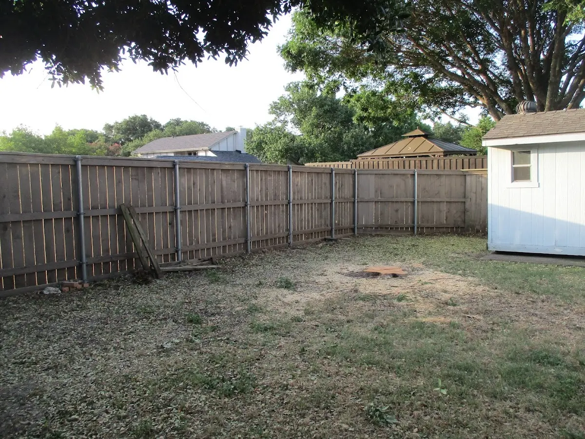Cleared yard after professional tree removal in Saint Marys City